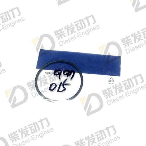 O-ring 977015